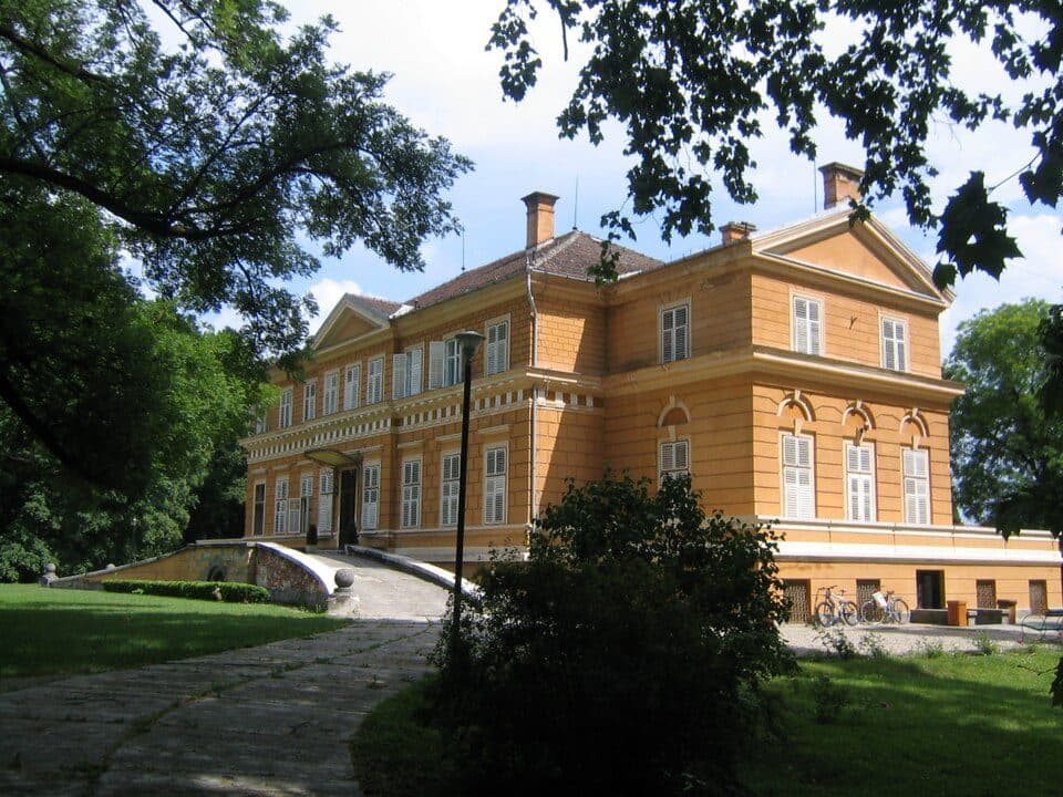 Zamek królewski w Săvârșin — zdjęcie 1