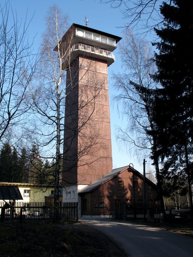 Spiegelwald