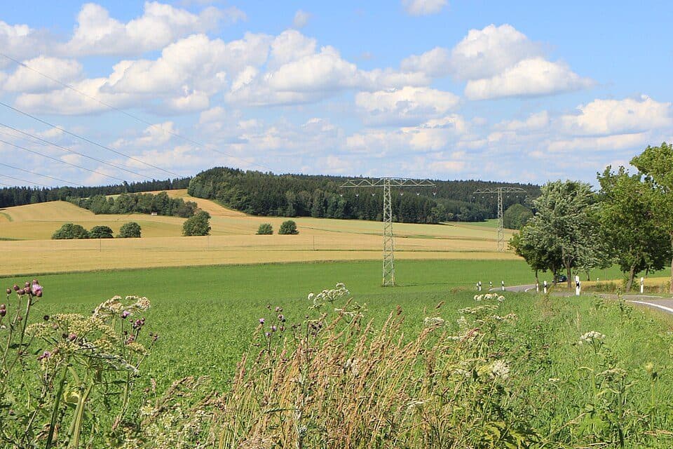Lauterbacher Knochen