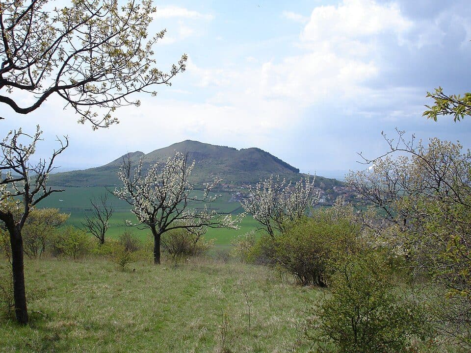 Raná