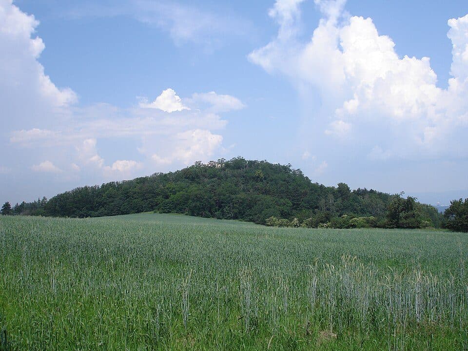 Pohradická hora