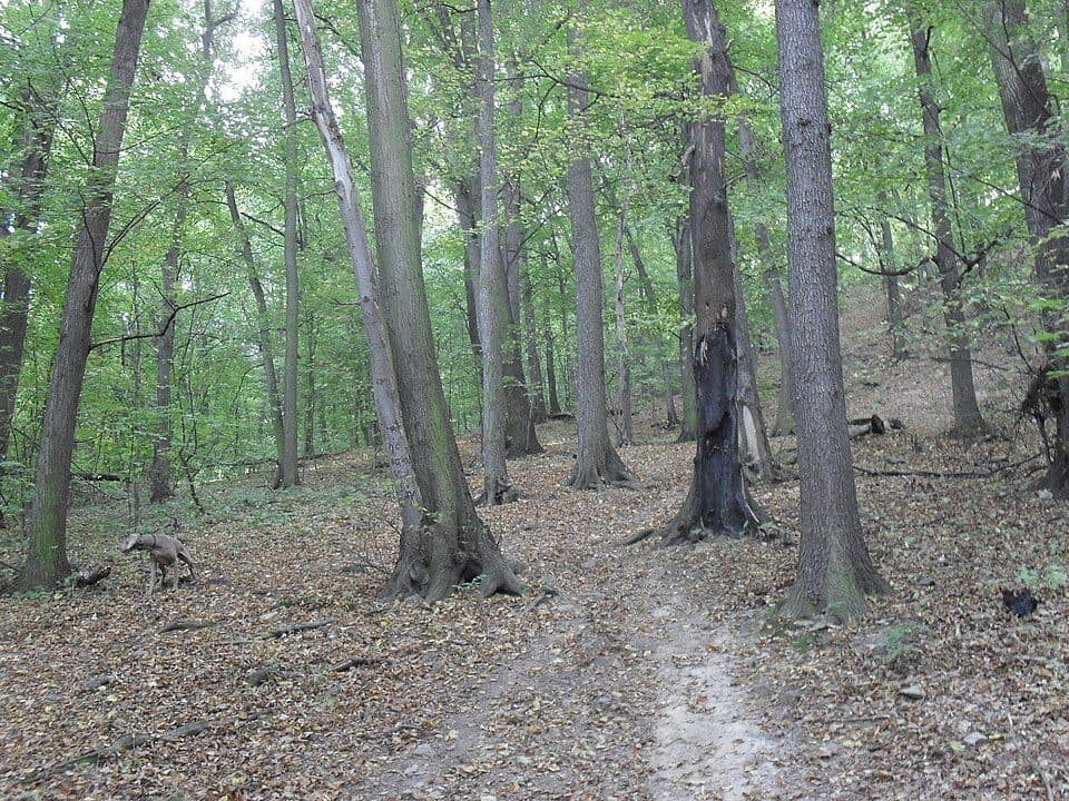[Č] Teplice - Třebívlice