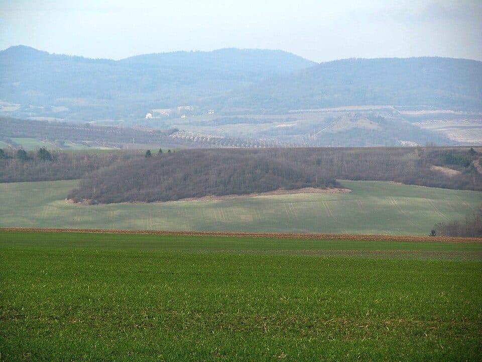 Přední vršek