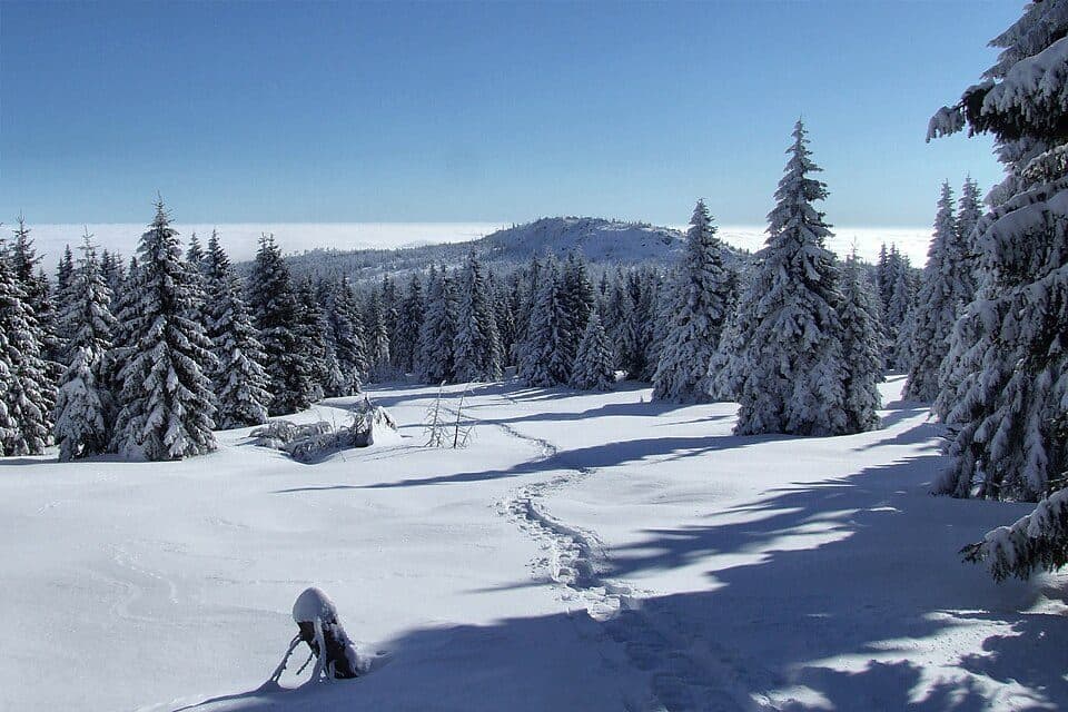 Meluzína