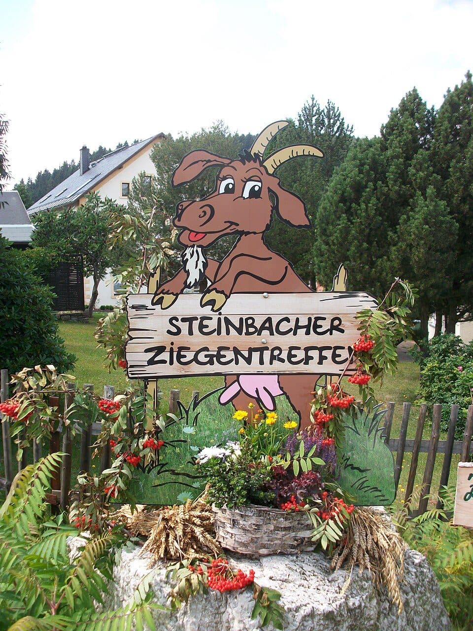 Ww Großer Ringweg Steinbach - Satzung