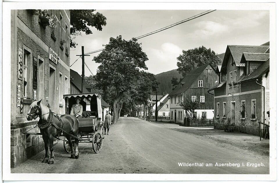 Kammweg Erzgebirge - Vogtland (West)
