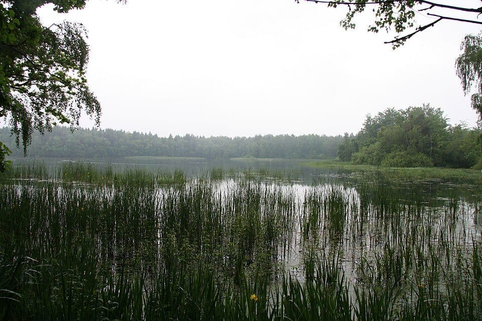 Wanderweg Waldhaus Ebersbrunn-Rottmannsdorf-Culitzsch-Silberstraße-Wiesenburg