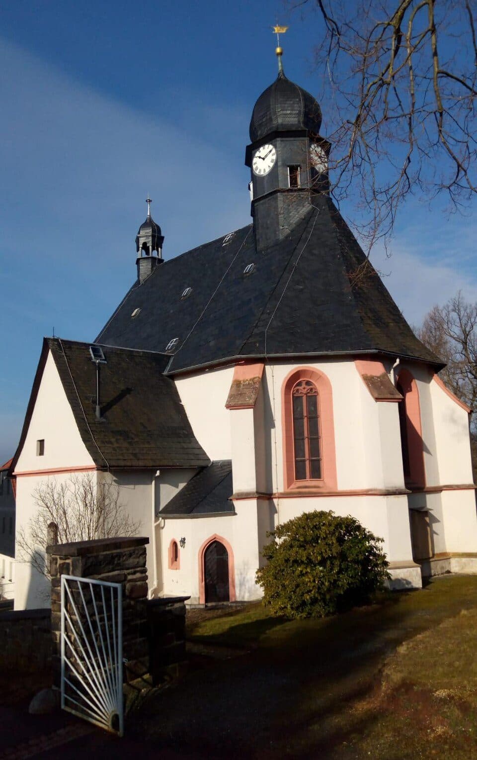WW Steinpleis - Burg Schönfels