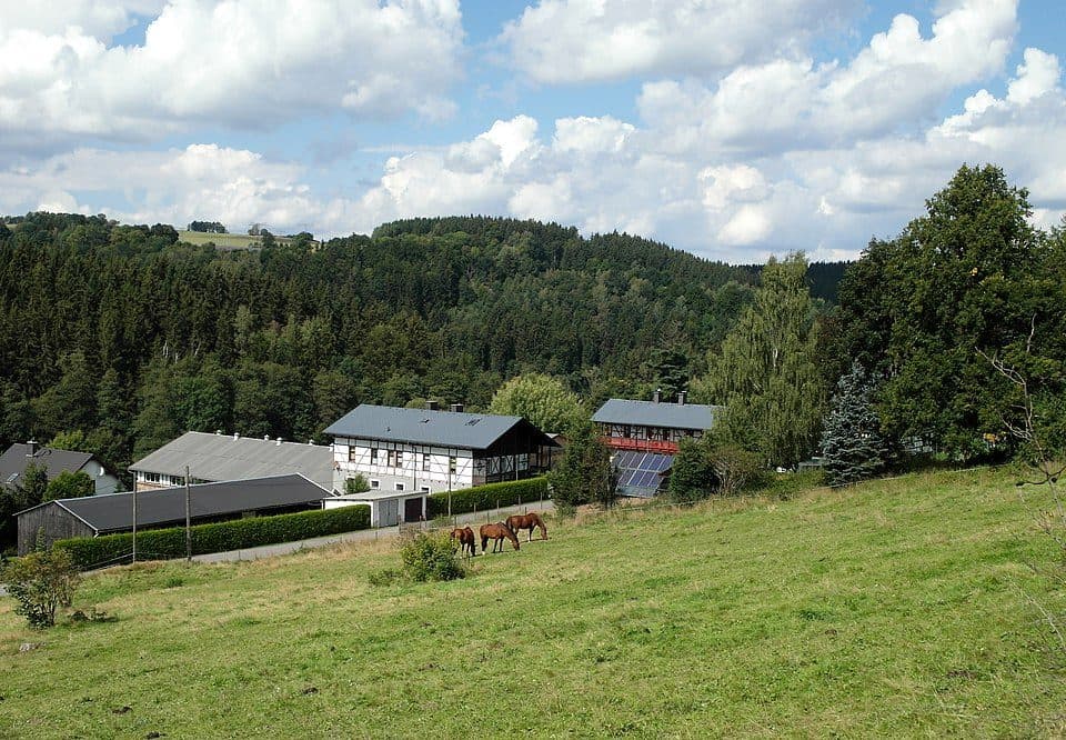 Ww Großrückerswalder Rundweg