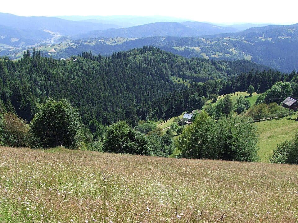Kamienny Groń