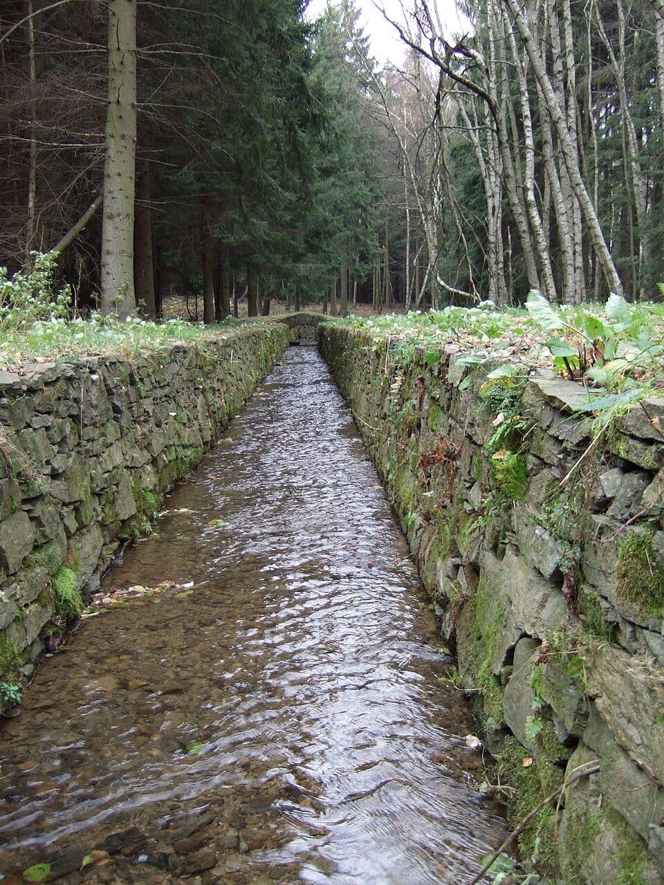 Fernwanderweg Görlitz – Greiz (Teil: Frauenstein – Lippersdorf)
