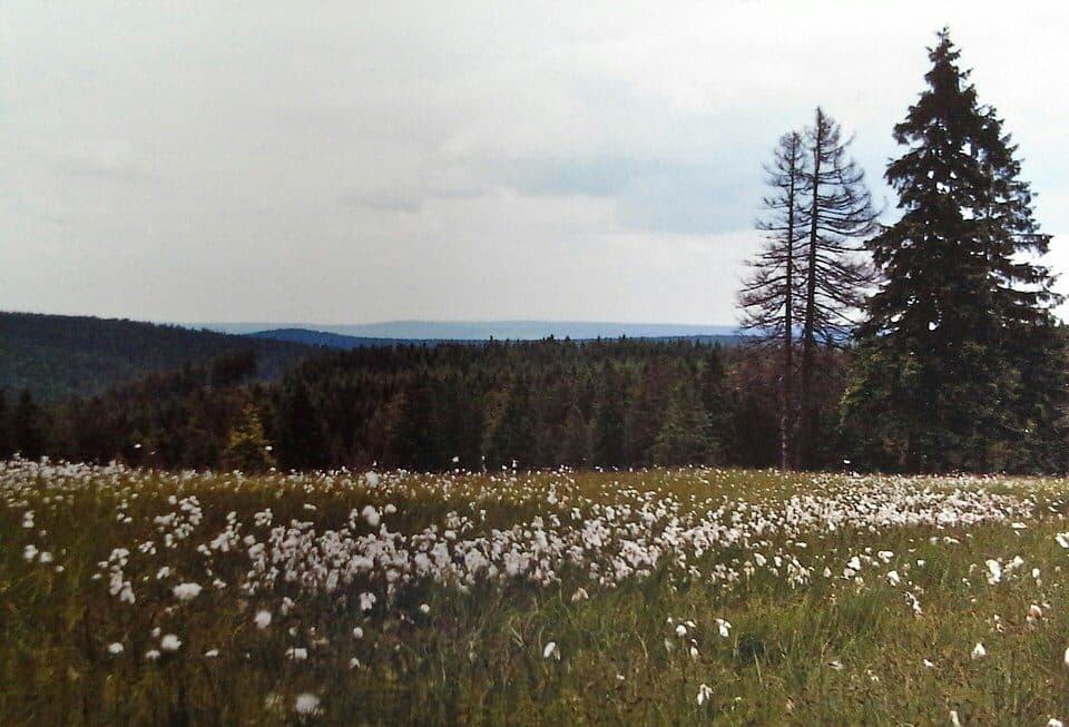 Am Taubenfels