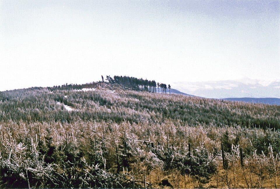 Dzicza Góra (Rudawy Janowickie)