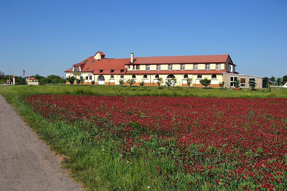 [Č] Louny - Peruc