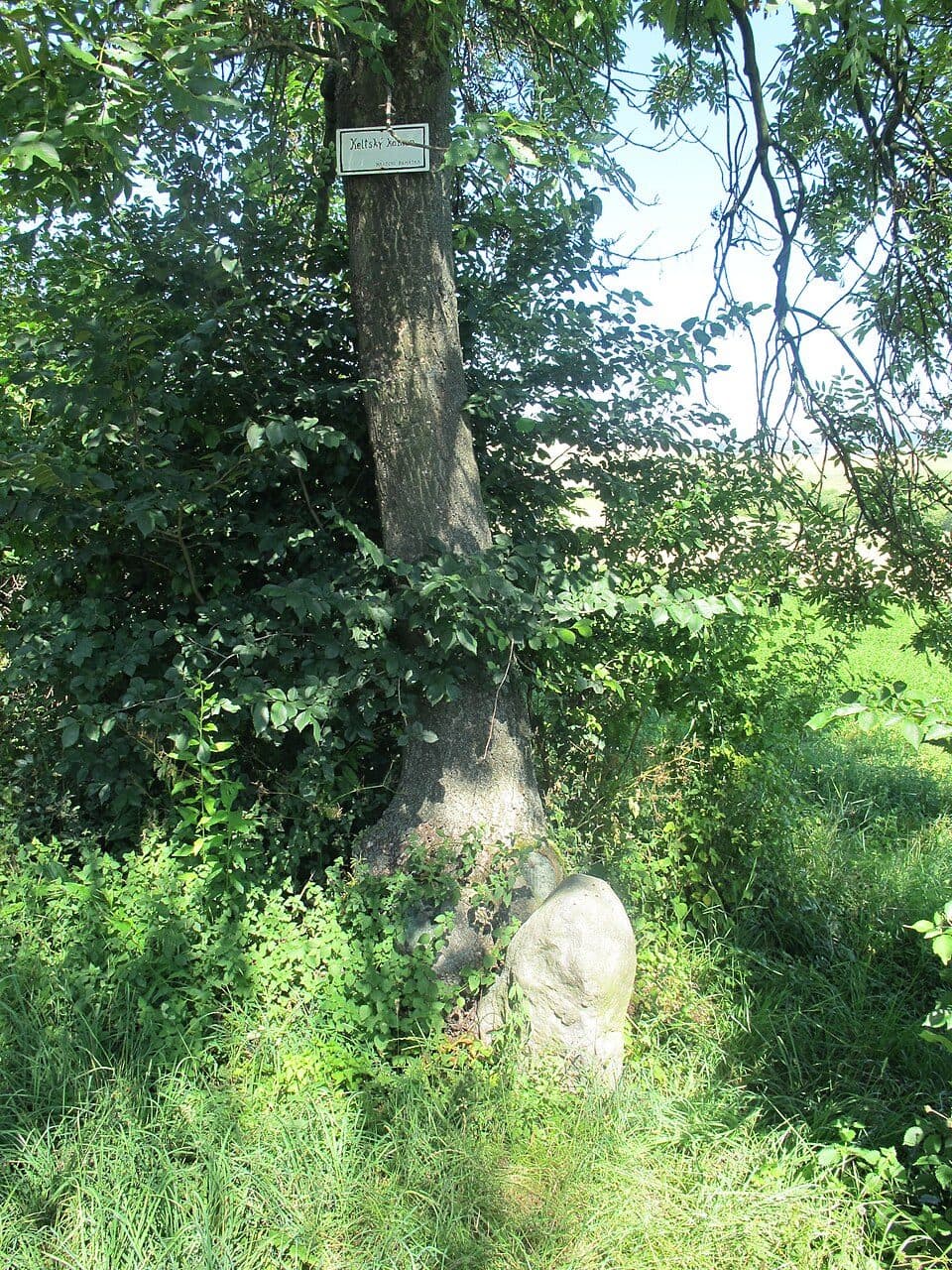 [Č] Louny - Peruc