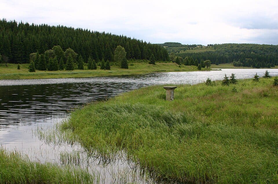 [Z] Bystrý potok (CZ/D) - Fláje hájovna