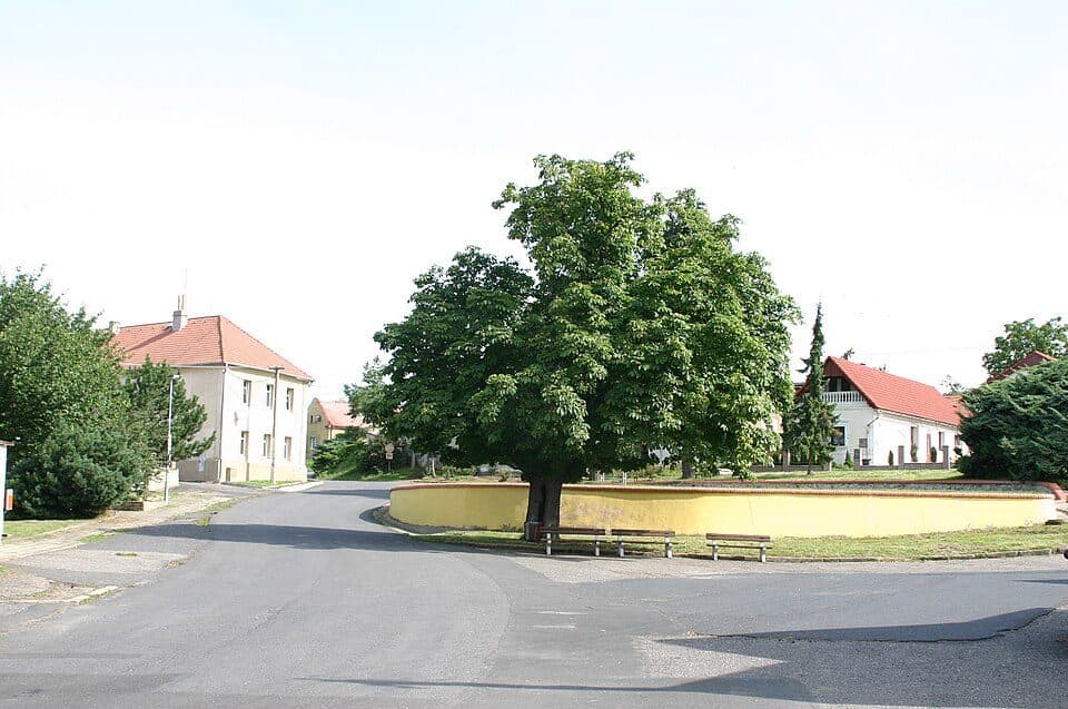 Skršín — zdjęcie 1