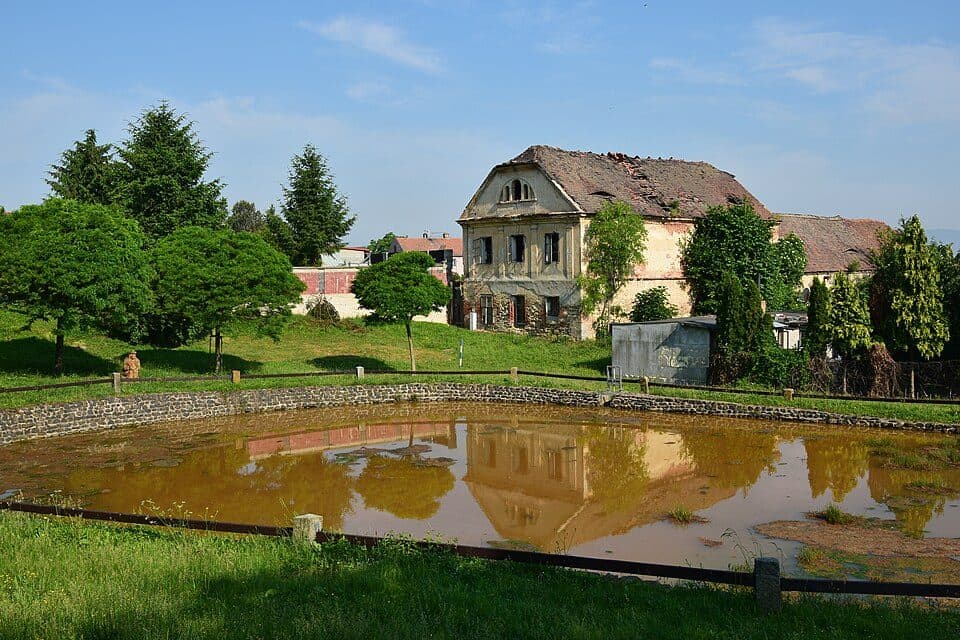 Havraň — zdjęcie 1