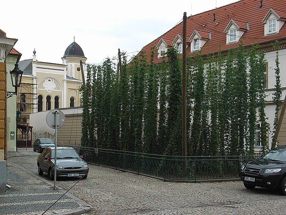 [M] Žatec (žst.) - Vikletice