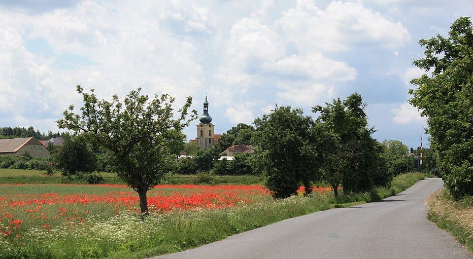 Vrbno nad Lesy — zdjęcie 1
