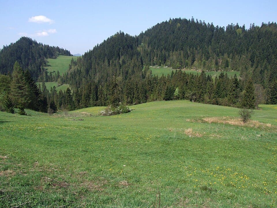 Ula (Pieniny)