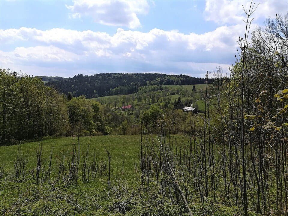 Wilkowyja (szczyt)