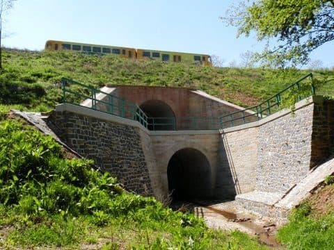Deštnice — zdjęcie 2