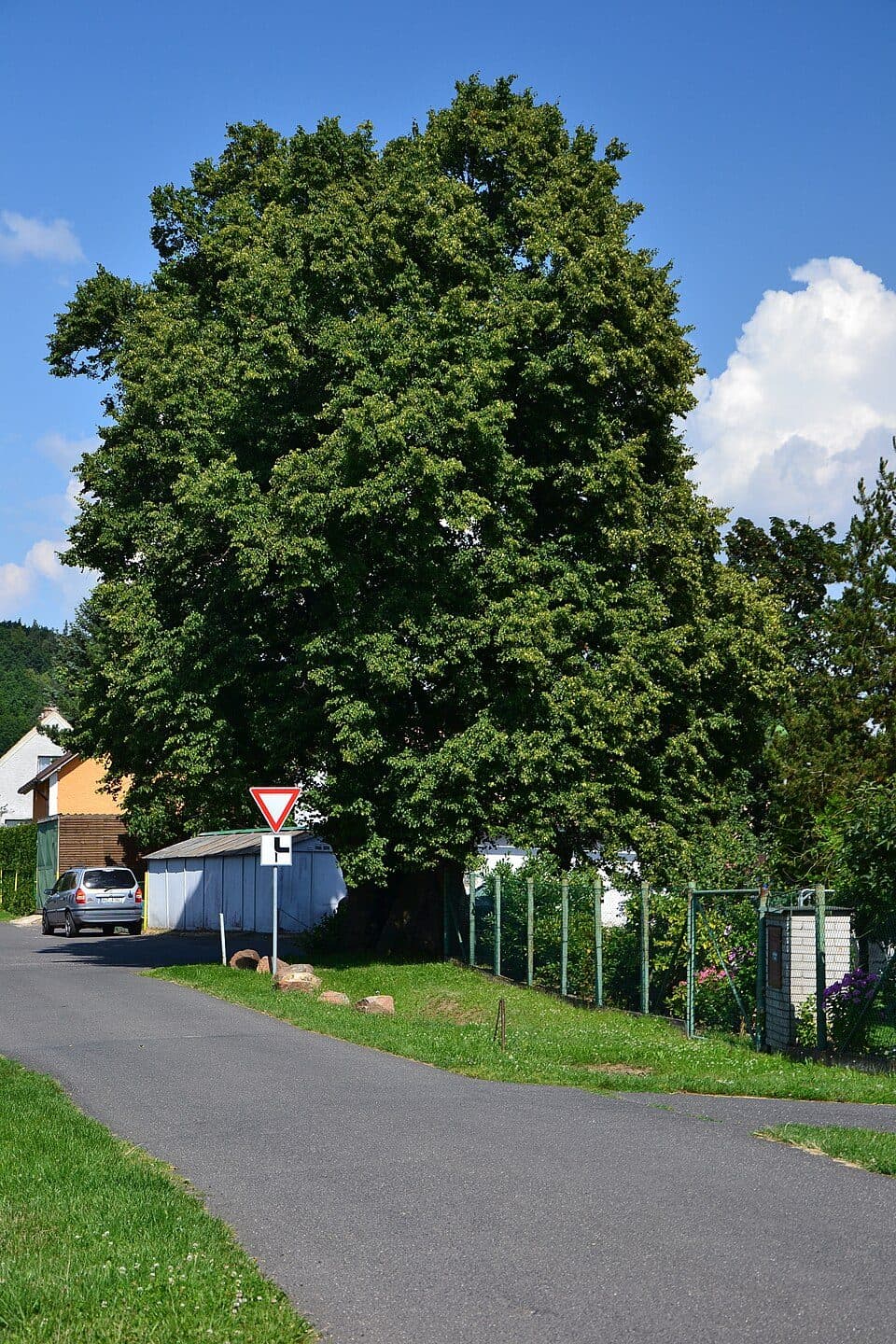 [Ž] Farský les - Blahuňov