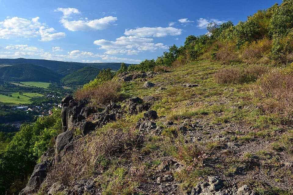 [Z] Rašovice - Petlery