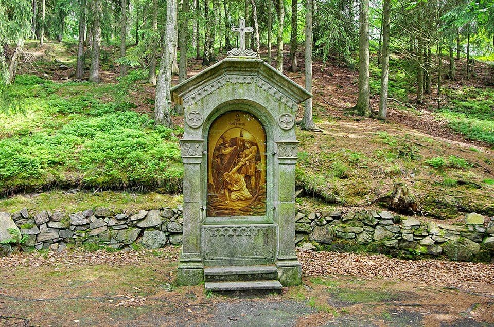 [Ž] Karlovy Vary - Nejdek