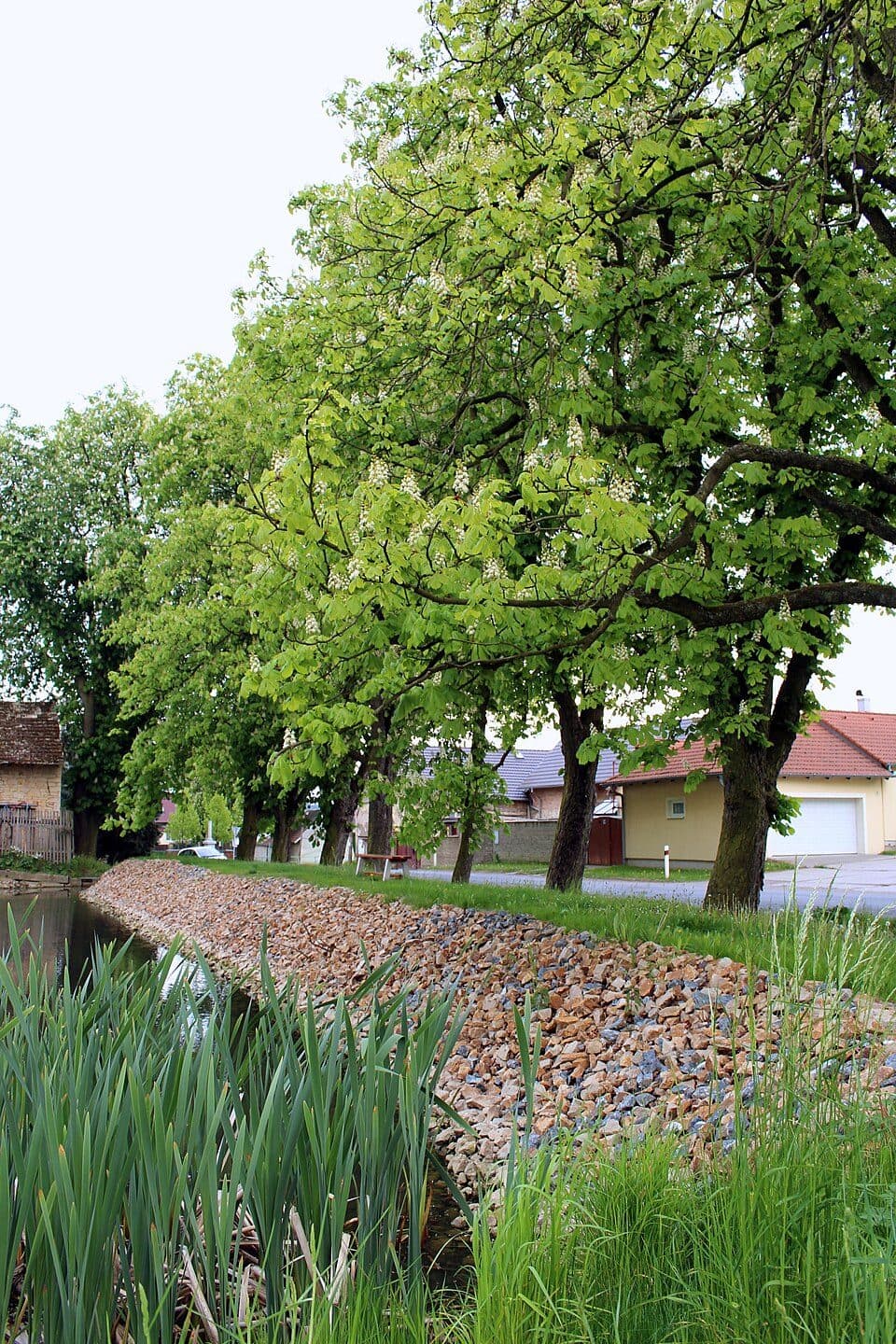 [M] Mšec - V Potocích