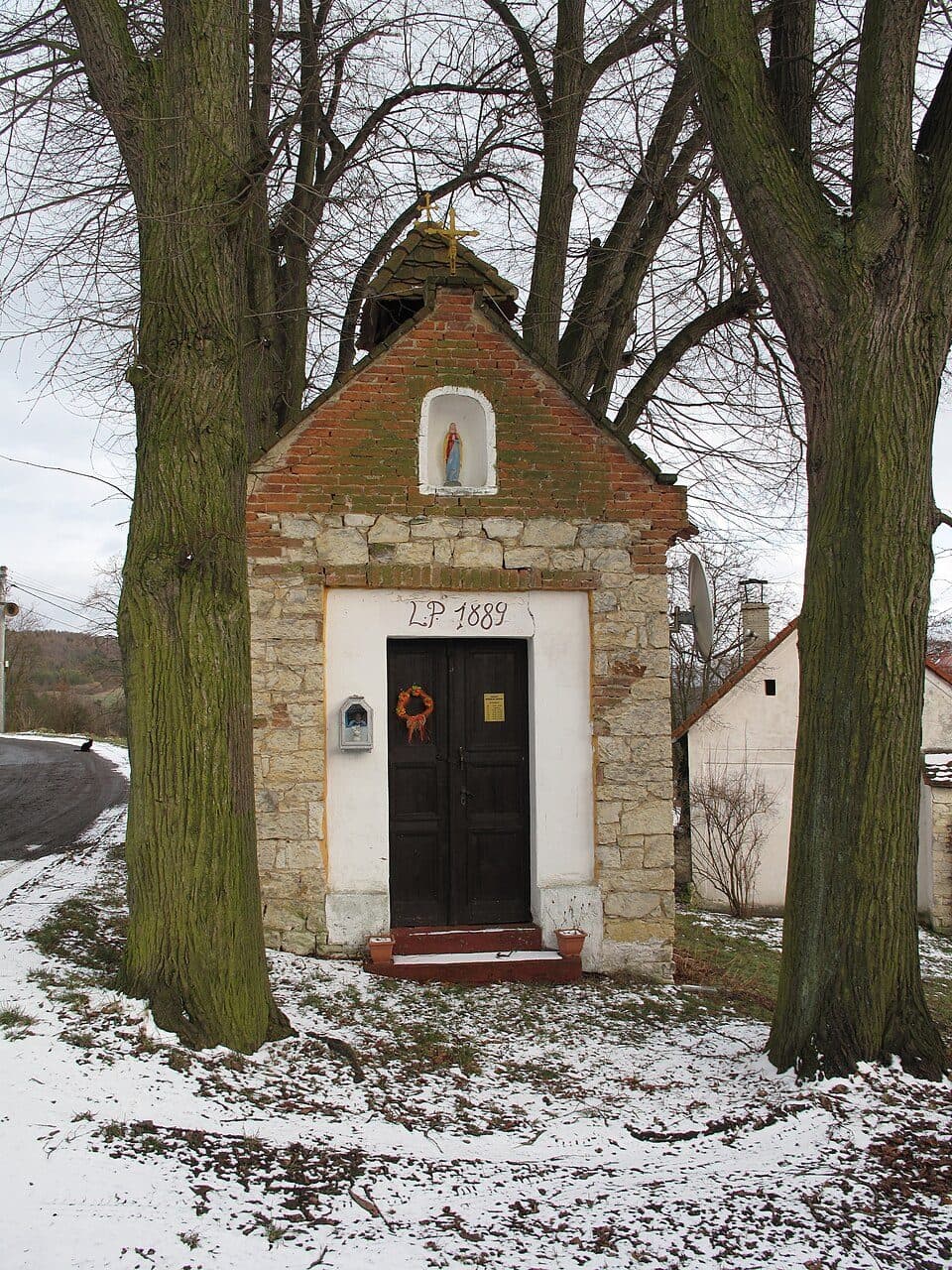 NS Kalivodské bučiny