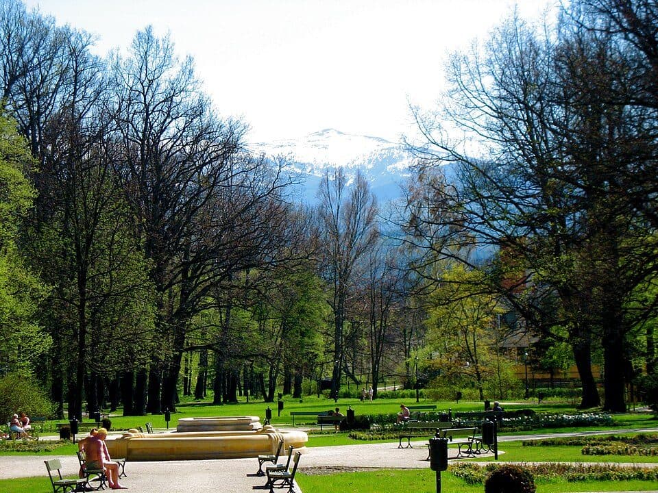 Jelenia Góra-Słonecznik