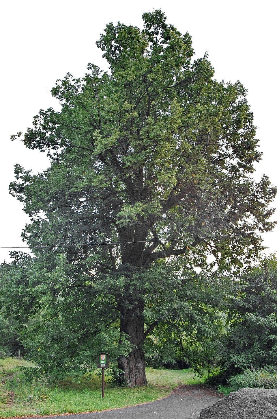 [Č] Abertamská zatáčka - Ostrov