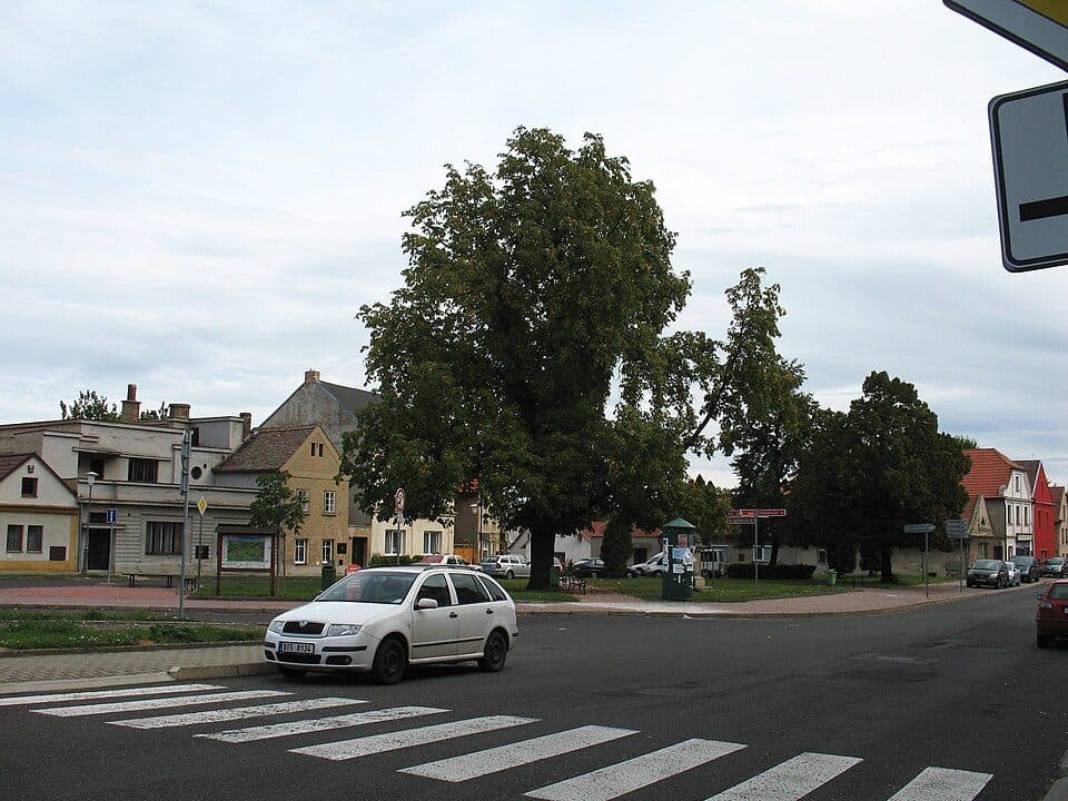 Třebenice — zdjęcie 3