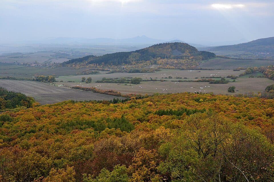 [Z] vrchol Plešivec