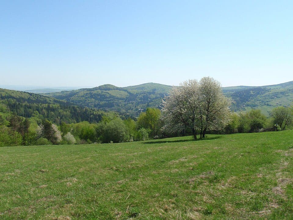 Zamczyska (Beskid Niski)