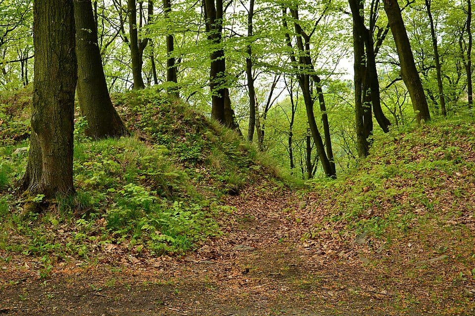 [M] Kyšperk hrad