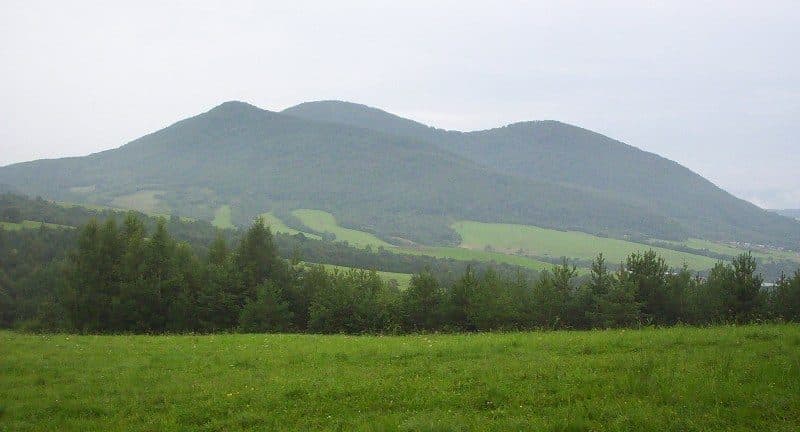 Busov