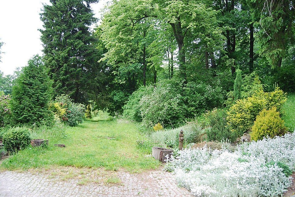 Komarno – Ruiny zamku Niesytno