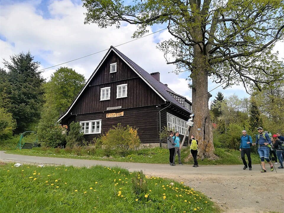 Strużnica - Czarnów
