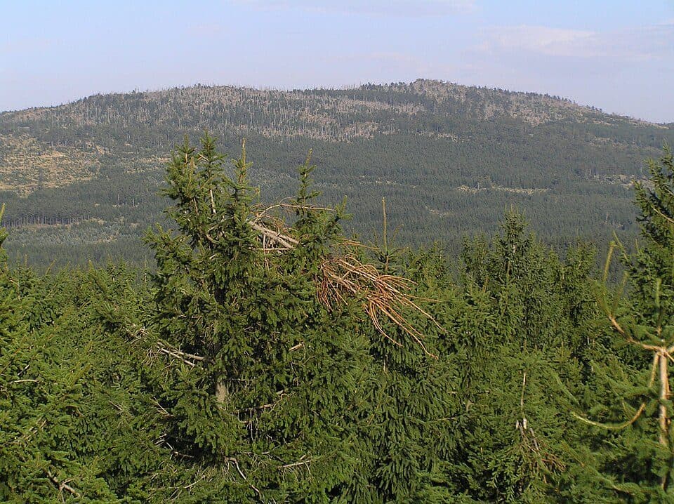 Holubník — zdjęcie 3