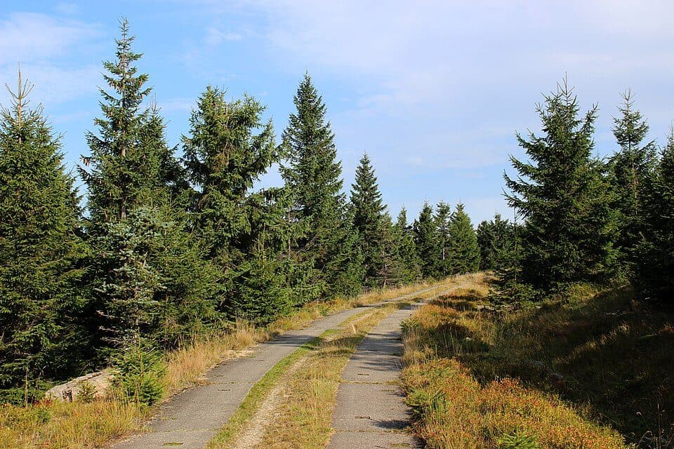 Smědavská hora