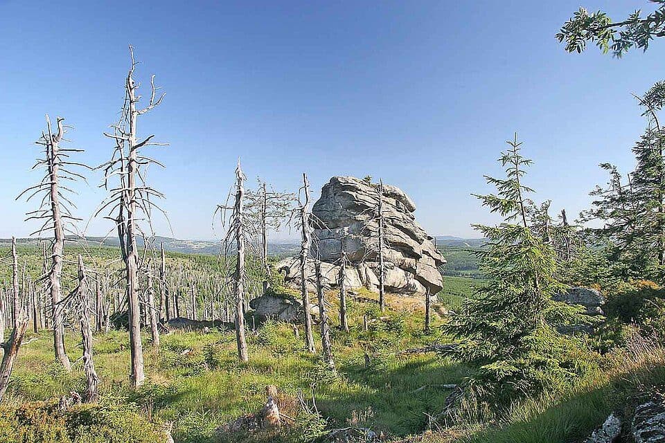 Černý vrch (Góry Izerskie)