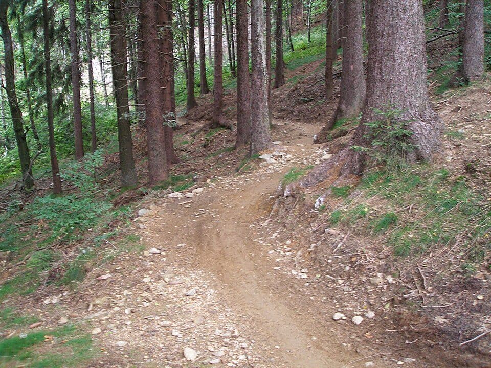 Měděnec
