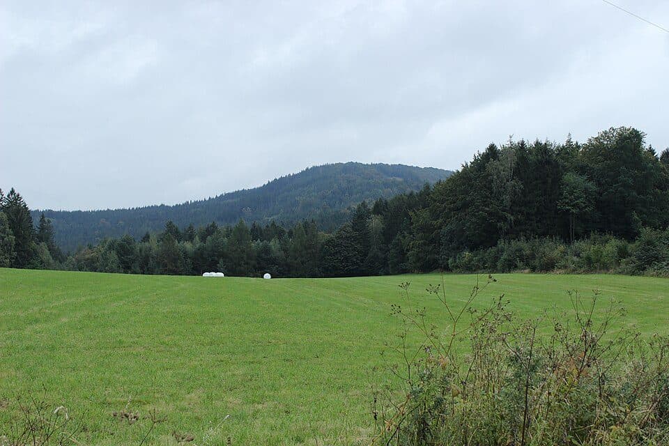 Svinský vrch