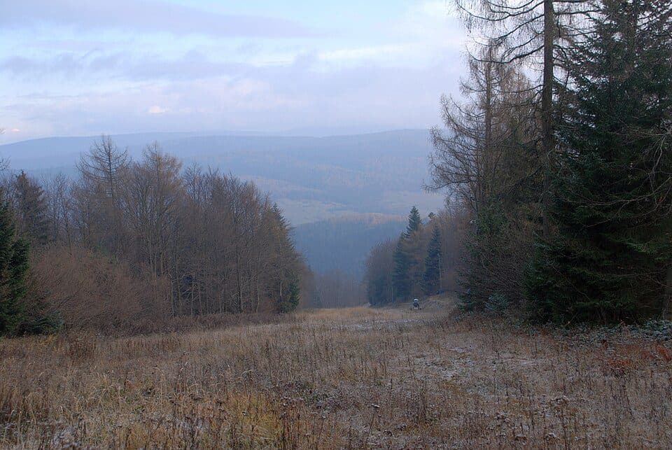Magura Małastowska