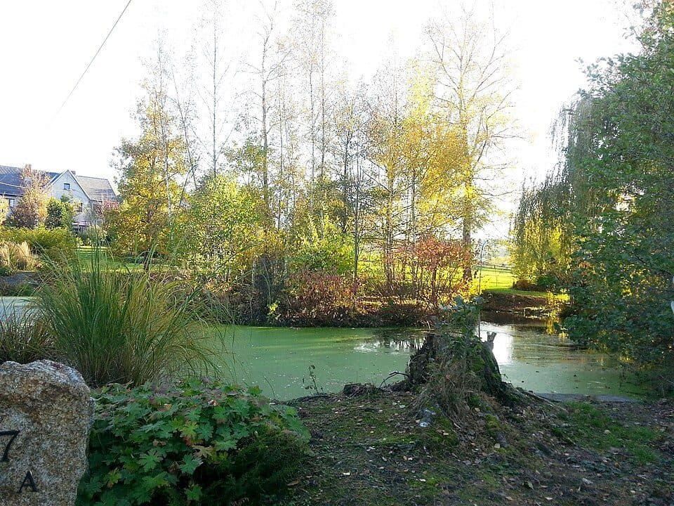 Wasserburg Ebersbrunn