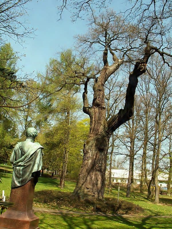 [Z] Pod Třemi kříži - Pod Třemi kříži (rozc.)