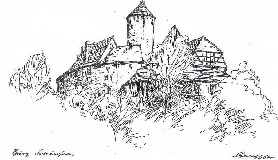 WW Steinpleis - Burg Schönfels